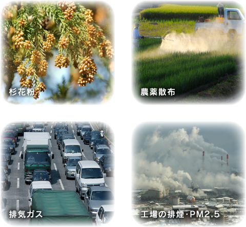 杉花粉・農薬散布・排気ガス・工場の排煙・PM2.5