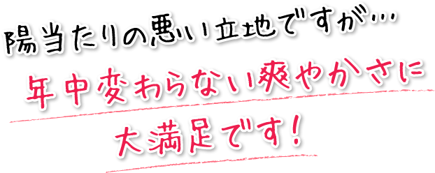 陽当たりの悪い立地ですが…年中変わらない爽やかさに大満足です！