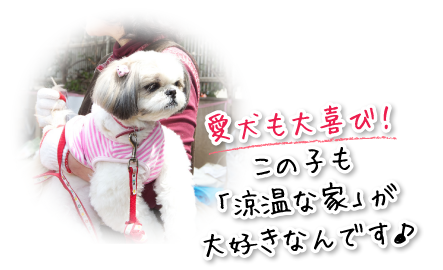 愛犬も大喜び！この子も「涼温な家」が大好きなんです♪