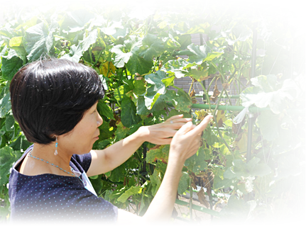 家庭菜園の奥様 O様邸