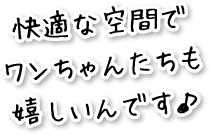 快適な空間でワンちゃんたちも嬉しいんです♪