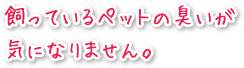 飼っているペットの臭いが気になりません。