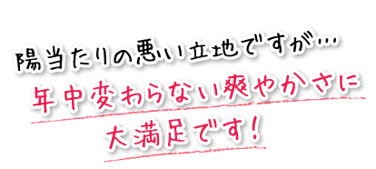 陽当たりの悪い立地ですが…年中変わらない爽やかさに大満足です！