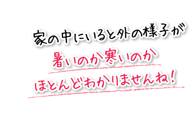 家の中にいると外の様子が暑いのか寒いのかほとんどわかりませんね！