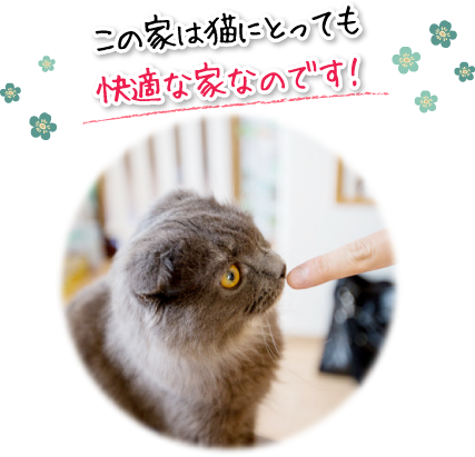 この家は猫にとっても快適な家なのです！