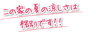 この家の夏の涼しさは格別です！！