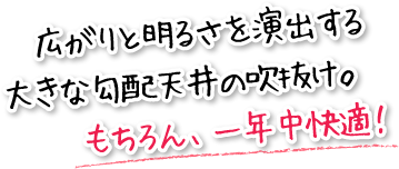 広がりと明るさを演出する大きな勾配天井の吹抜け。もちろん、一年中快適！