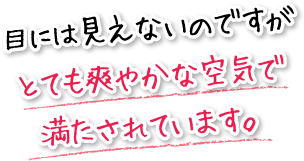 目には見えないのですがとても爽やかな空気で満たされています。