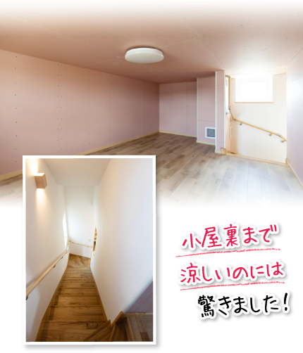 小屋裏まで涼しいのには驚きました！