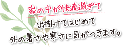 家の中が快適過ぎて出掛けてはじめて外の暑さや寒さに気がつきます。