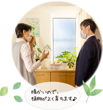 暖かいので、植物がよく育ちます♪