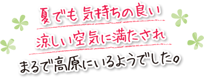 夏でも気持ちの良い涼しい空気に満たされまるで高原にいるようでした。