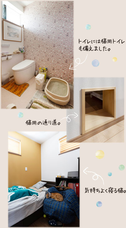 トイレには猫用トイレも備えました。猫用の通り道。気持ちよく寝る猫。