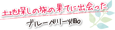 土地探しの旅の果てに出会ったブルーベリー畑。