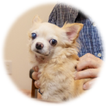 S様愛犬