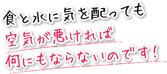 食と水に気を配っても空気が悪ければ何にもならないのです!