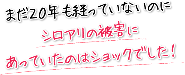 まだ20年も経っていないのにシロアリの被害にあっていたのはショックでした！